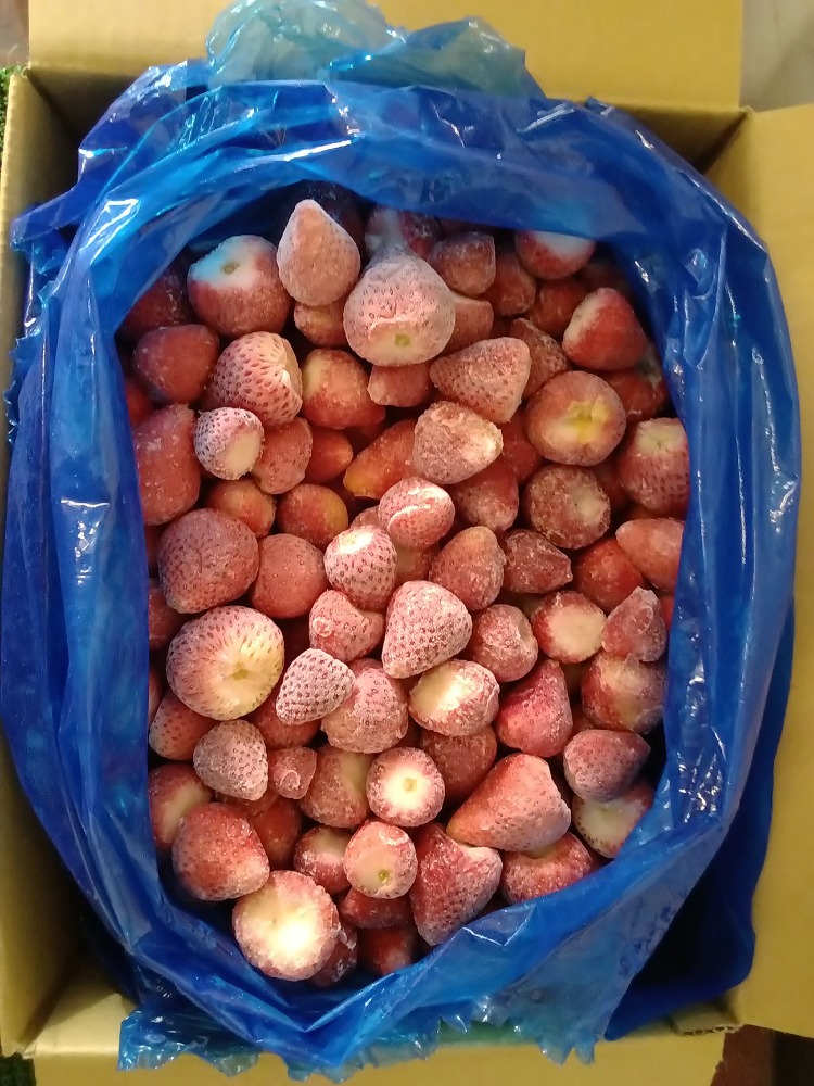 栃木県産 冷凍いちご とちあいか 10kg 【公式通販】