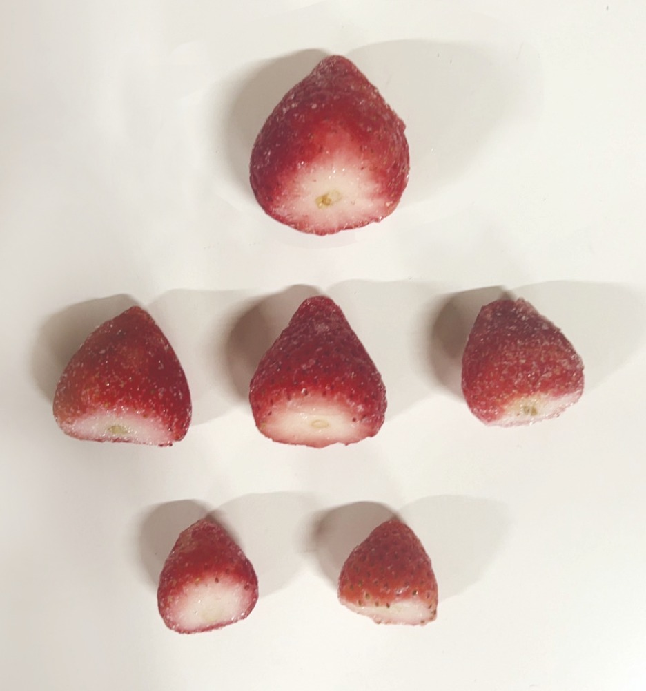 【栃木県産】冷凍いちご(とちあいか・苺・ストロベリー)10kg