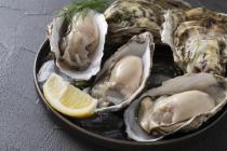 �X�܎ʐ^�E���S