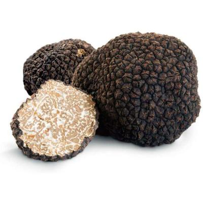 サマー黒トリュフ　30g　（毎週イタリアより空輸）　生トリュフ