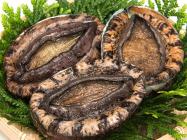 �X�܎ʐ^�E���S