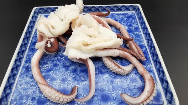 アオリイカ下足　8/12