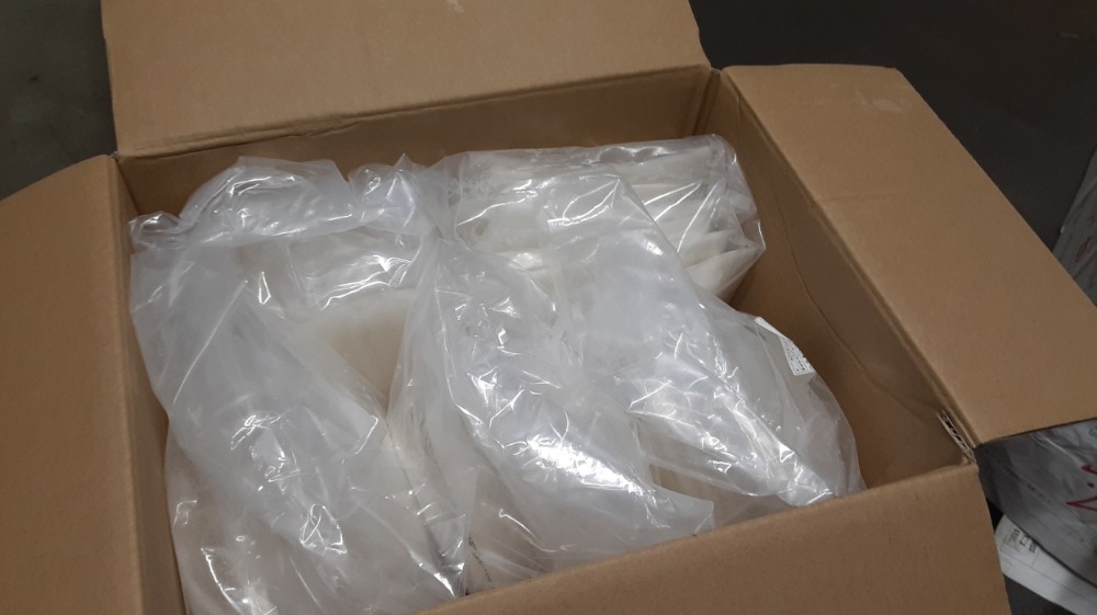 アオリイカフィレ　一枚真空　2/4枚　アオリイカ