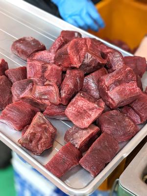 �y�����ʁz���^���@���L�^���@�^����@�u���b�N