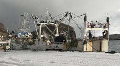 �X�܎ʐ^�E���S