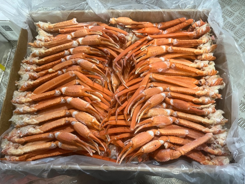 冷凍品 ボイル紅ズワイ蟹肩脚 5kg 訳ありB品 小型サイズ ずわいがに 訳