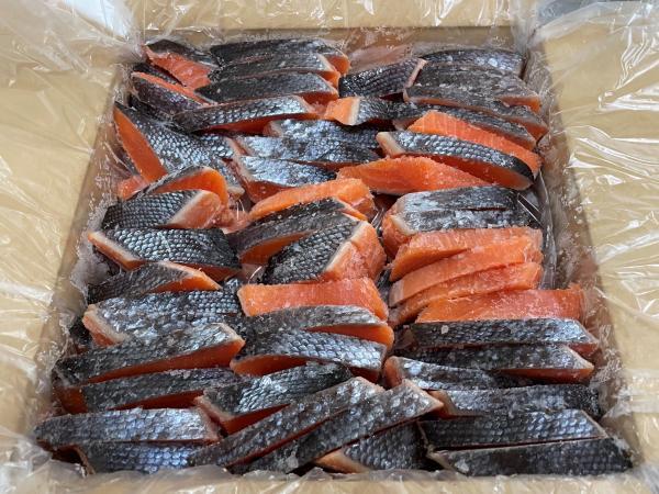 銀鮭甘口　背側のみ　切身　40ｇ