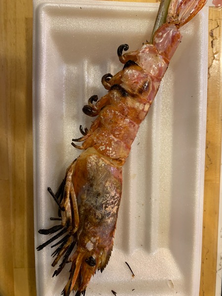 アルゼンチン赤エビ　（赤海老）　2kgx6　L-1