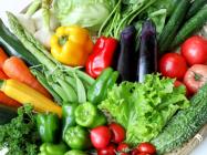 �X�܎ʐ^�E���S