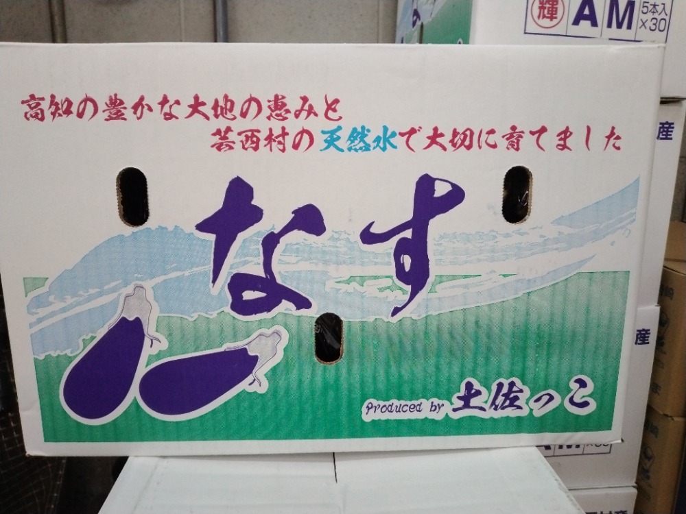 高知県産】茄子　5本PK