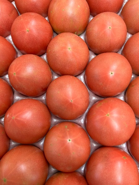 熊本県産　トマト