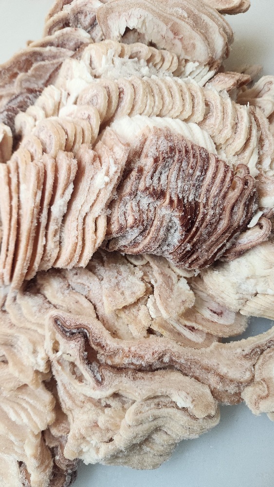 国産豚　上州豚　ガツボイルスライス