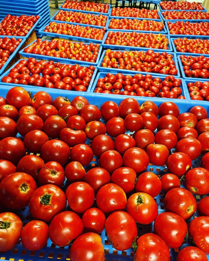 熟成トマトジュース　　梅酢と糀と　Dr.トマト