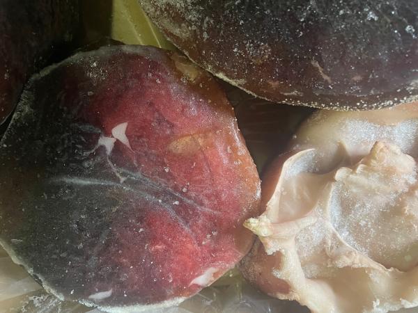 【訳あり】たこ頭サイズ中（キズ品）　サイズコミ