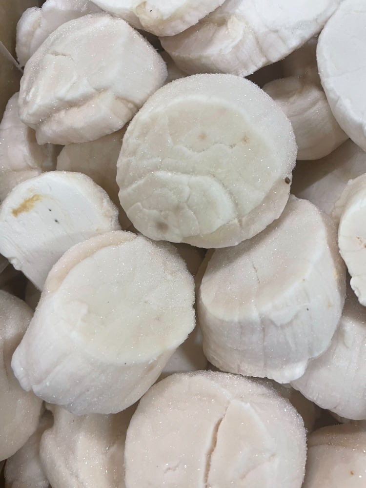 【訳あり】ホタテ貝柱