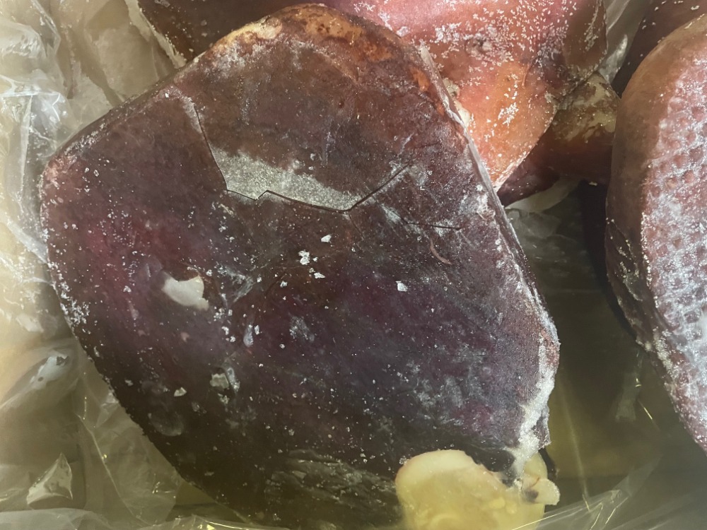 【訳あり】たこ頭サイズ大（キズ品）　サイズコミ