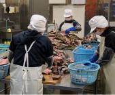 �X�܎ʐ^�E���S