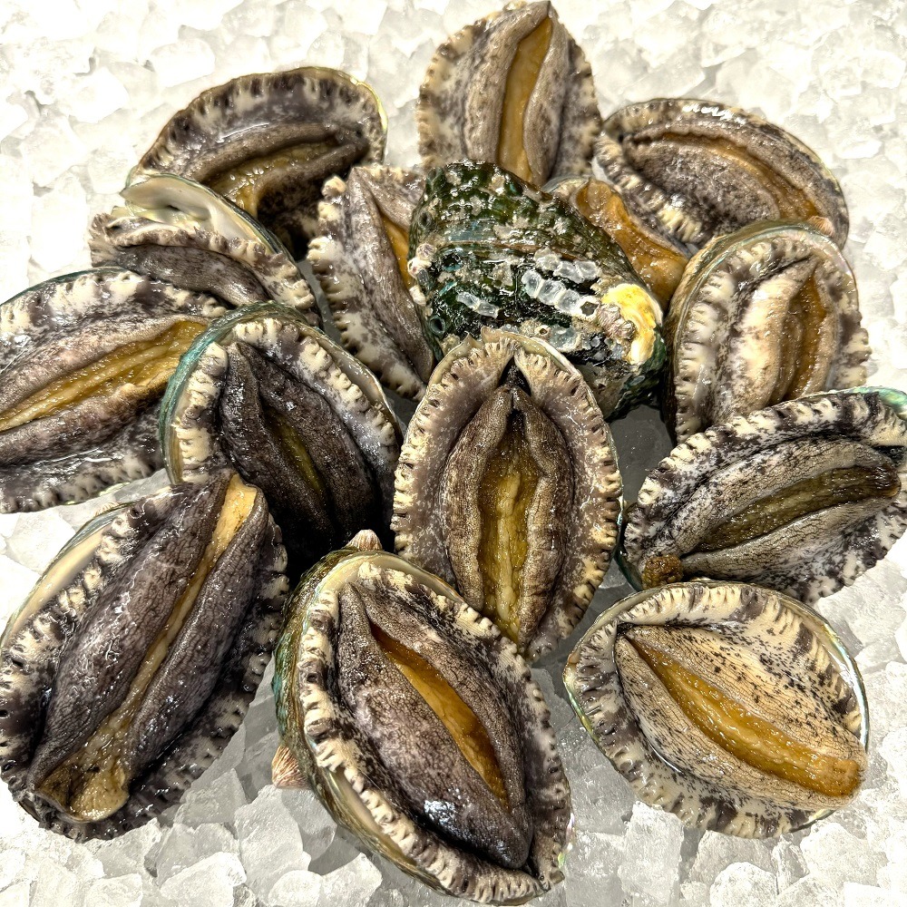 �y�����ʁz�����G�]�A���r�@90��/100���@