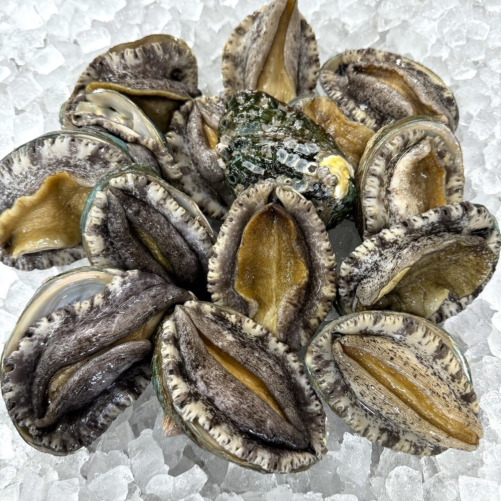 �y�����ʁz�@�����G�]�A���r�@60��/70���@