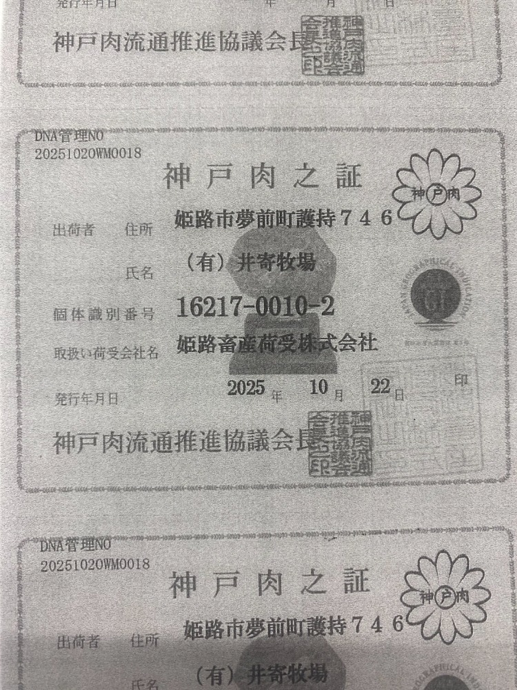 ◆A5等級・神戸ビーフ肩ロースすき焼き約500gx2P冷凍