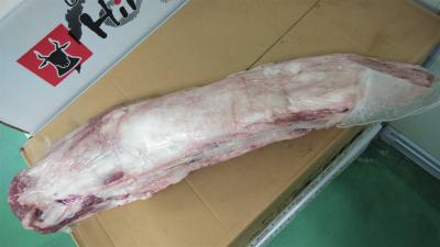 【A5】九州産黒毛和牛 ヒレチルドBMS10〜12（冷蔵）