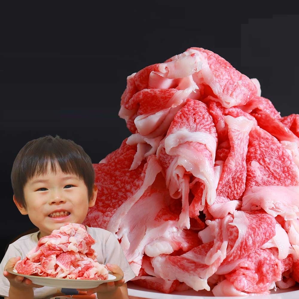 【A5】佐賀 佐賀牛A5切り落とし500gx2個　　（冷凍）