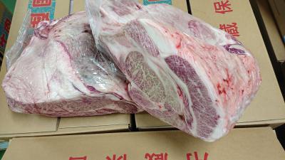 仙台牛カタロースＡ5（ネックなし）