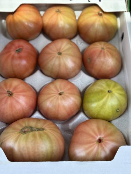 熊本産　トマト3L.2L.L　1ケース