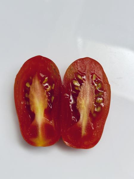 アイコトマト　　(ミニトマト）