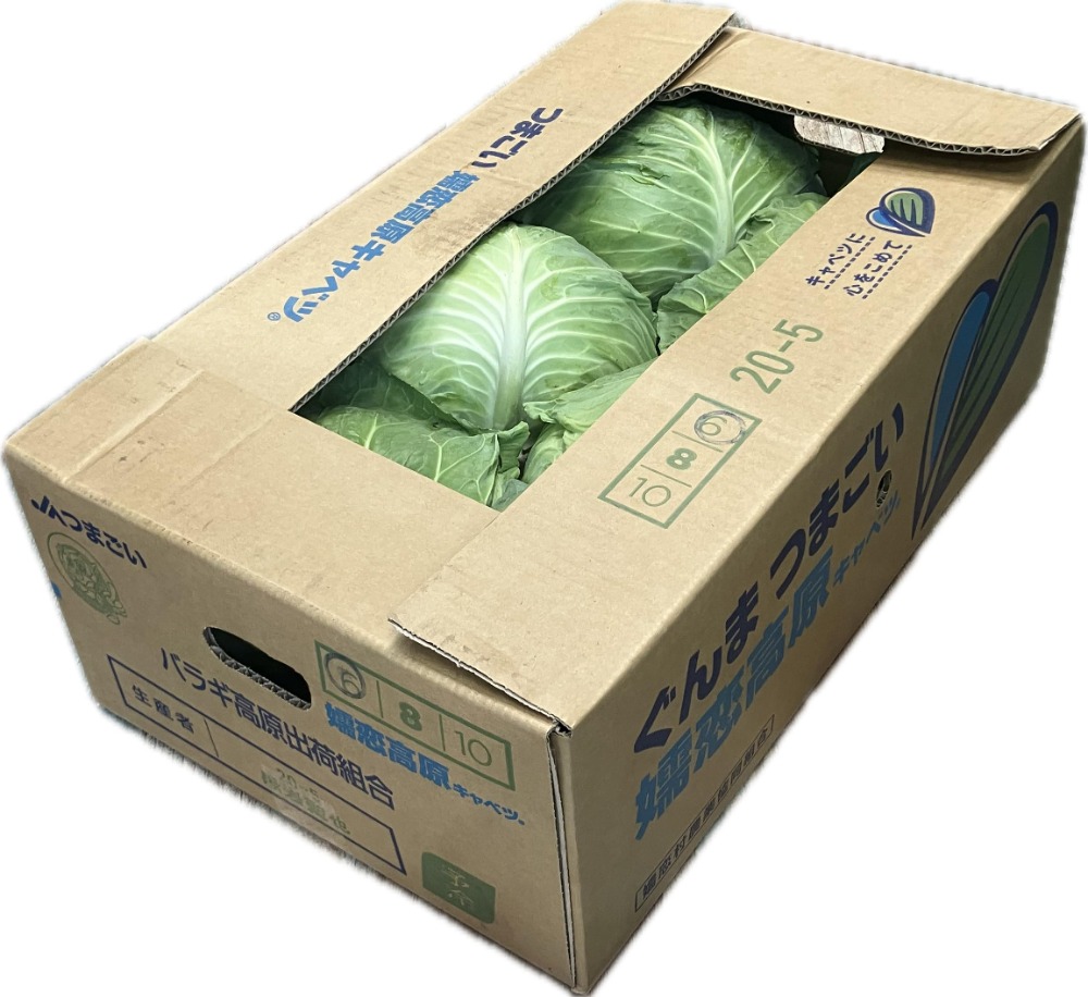 国産　キャベツ　10.5キロ　2Ｌサイズ　6玉　きゃべつ