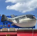 �X�܎ʐ^�E���S