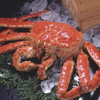 �k�C���Y�@�@�{�C���Ⓚ����΂��Ɏp�@�@1���^1.8���`3��