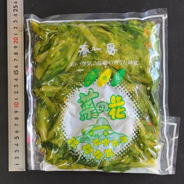 2袋〜　鹿児島県　指宿産　冷凍菜の花　1kg
