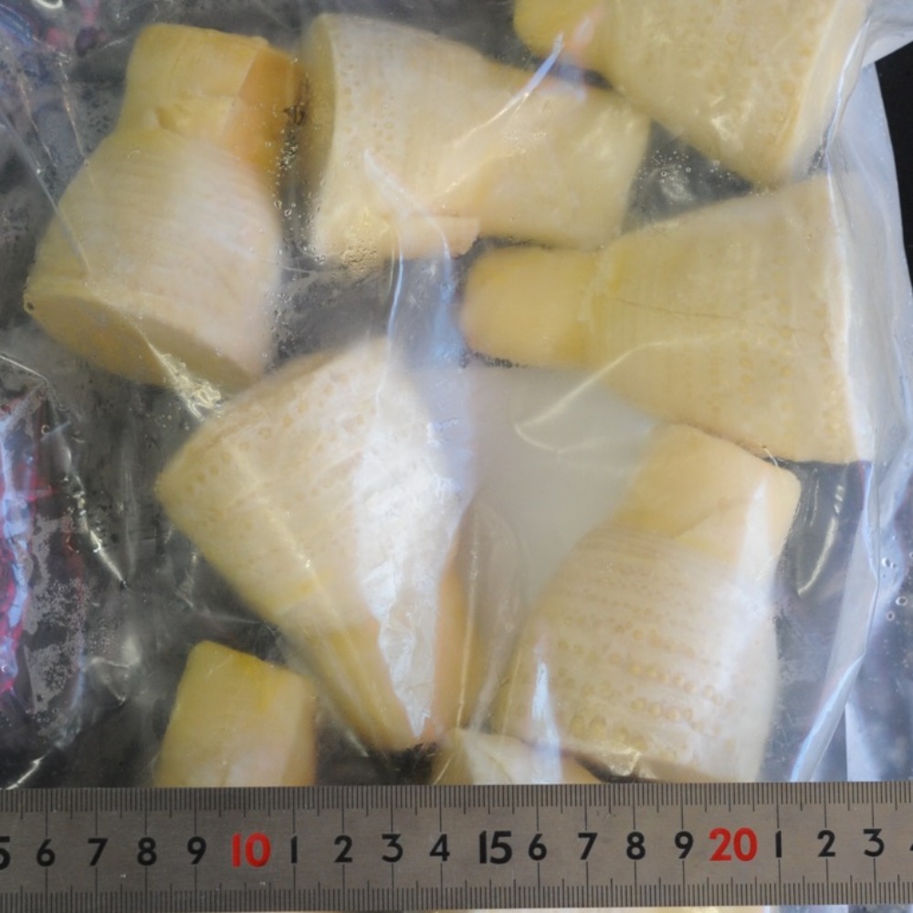 冷凍　穂付筍　冬筍Sサイズ　9〜13個/1kg　竹の子　おせち