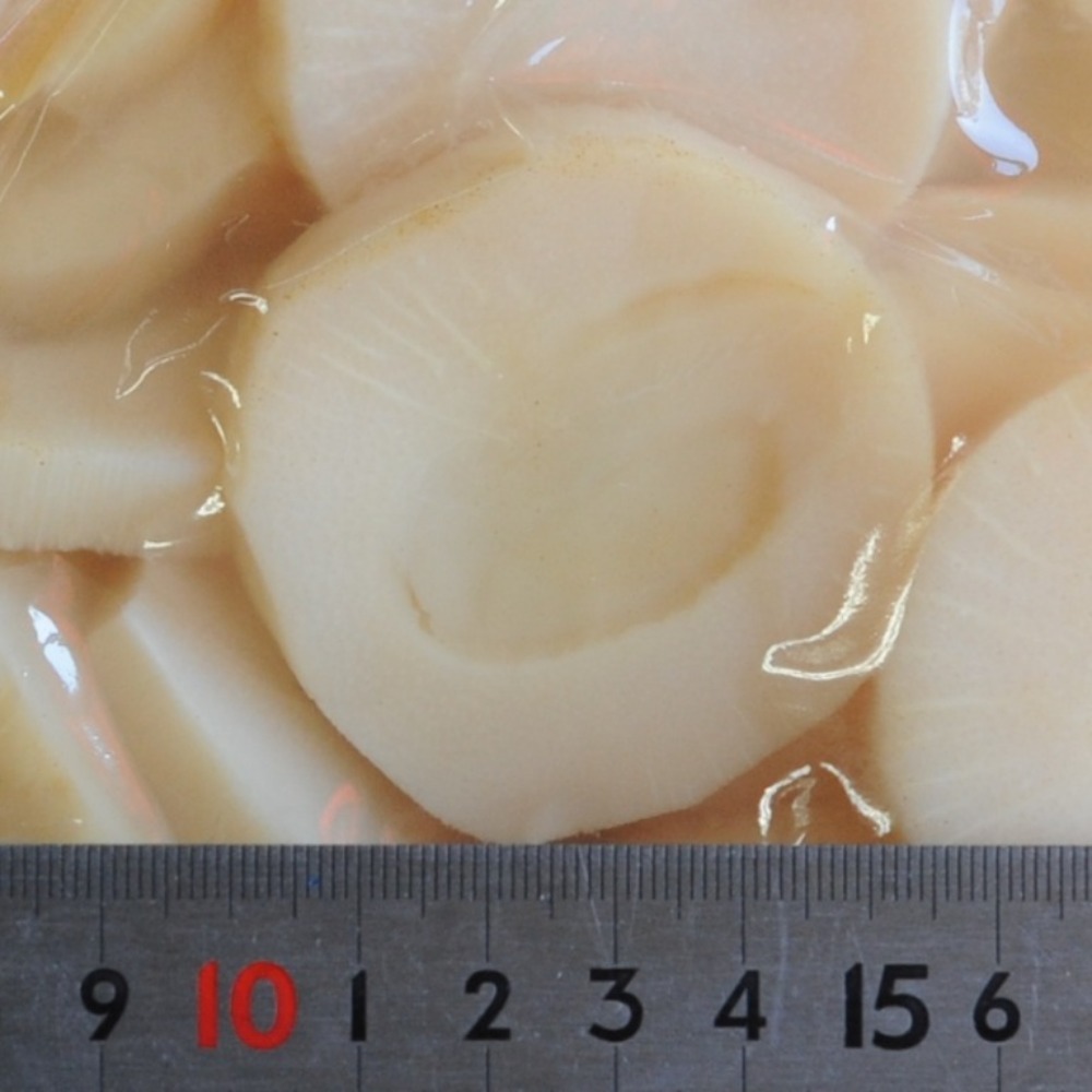 味付筍天ぷら用　輪切　40枚　春野菜　山菜　竹の子　たけのこ