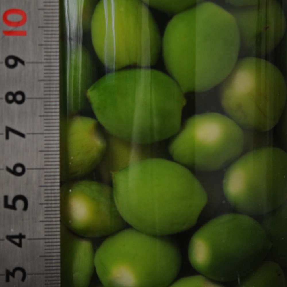 国産　若桃甘露煮　SS　若桃シロップ漬け　稚児皐月