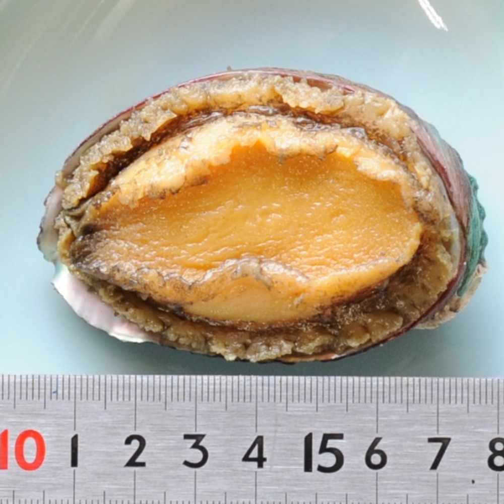 鮑味付け3個　あわび味付け　味付け鮑　味付けあわび　おせち