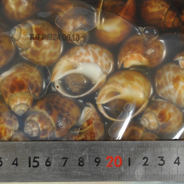 バイ貝うま煮　バイ貝旨煮　味付バイ貝　煮貝　Ｍ　40-48粒