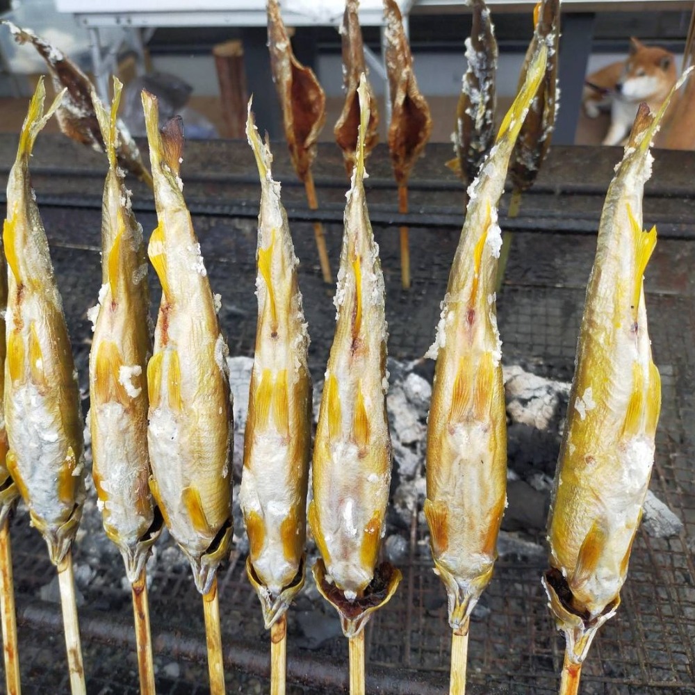 スイカの香りの養殖鮎　和歌山　国産鮎　冷凍鮎　14尾　2箱可