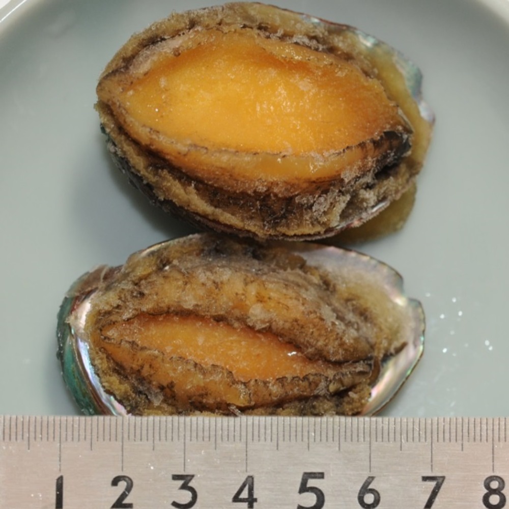 鮑味付け16個　あわび味付け　味付け鮑　味付けあわび　おせち