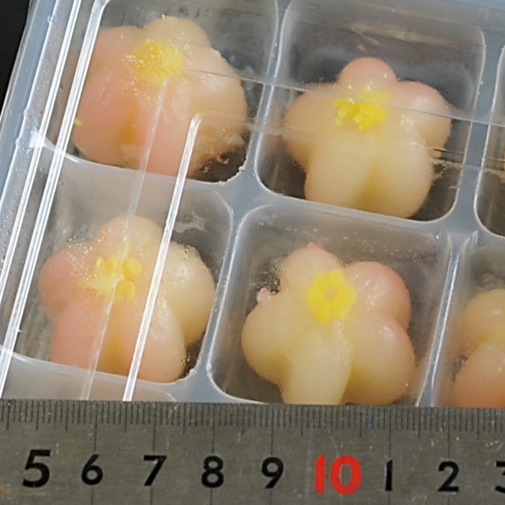 梅霞　15個　和菓子　上生菓子　花餅　前菜　八寸　お茶請け