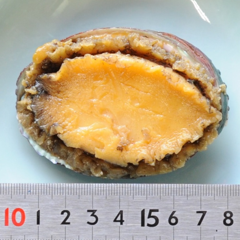 鮑味付け3個　あわび味付け　味付け鮑　味付けあわび　おせち