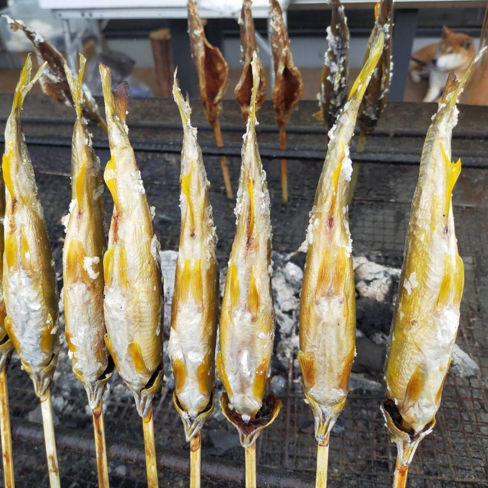 琵琶湖産鮎12尾　エリ漁天然稚魚使用　養殖鮎　国産鮎　冷凍鮎