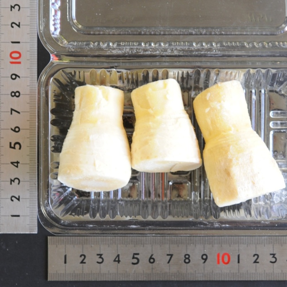 【限定】冷凍　穂付筍　冬筍　３S　41〜50ｇ/個　竹の子