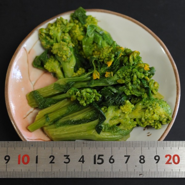 2袋〜　鹿児島県　指宿産　冷凍菜の花　1kg