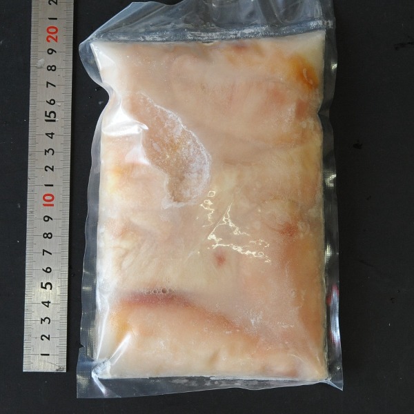 2kg〜　国産　国産天然まふぐ白子　真ふぐ白子　フグの女王