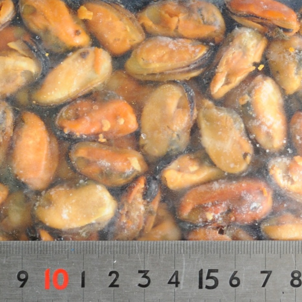 ムール貝スモーク　500ｇ　桜チップ燻製　イタリアン　おせち