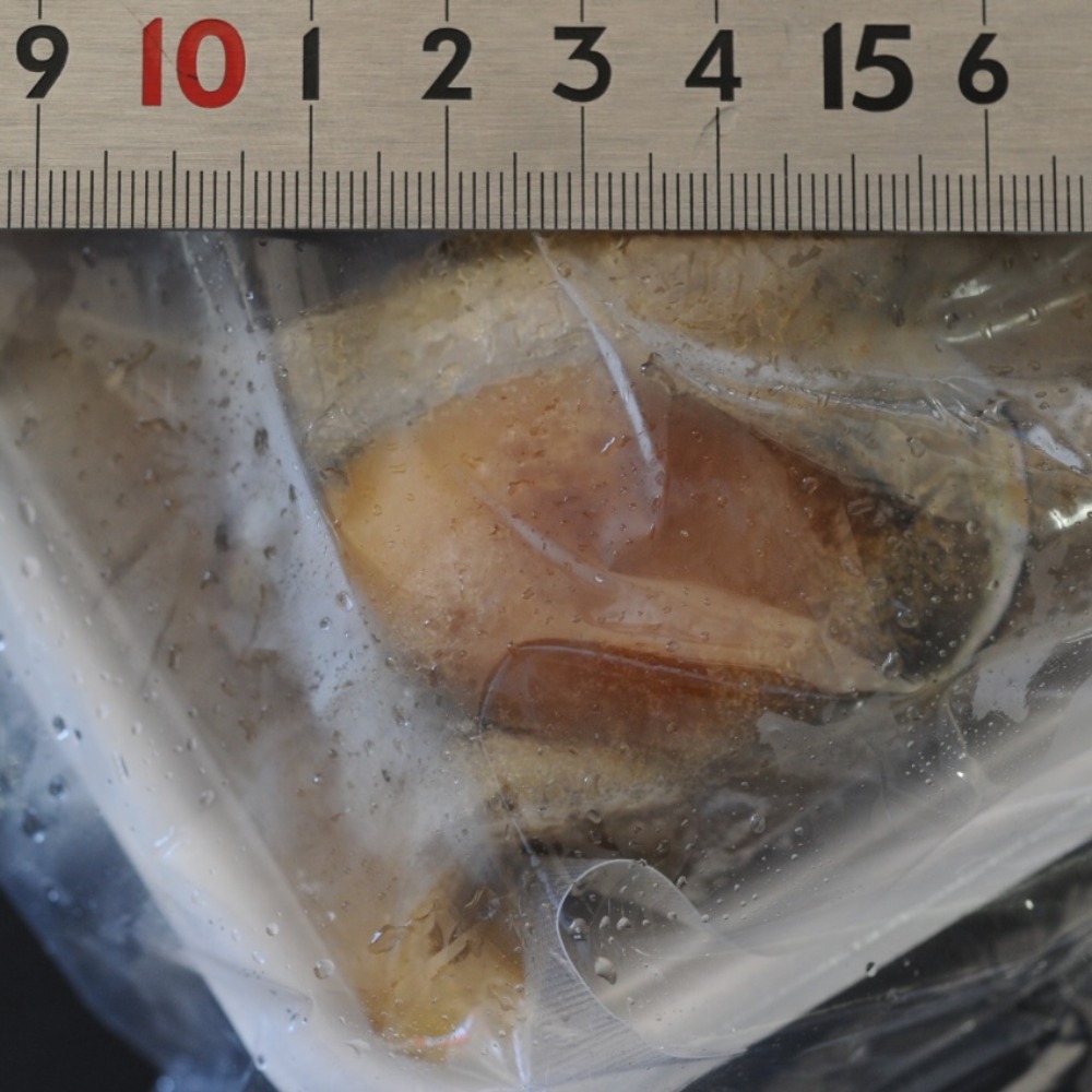 四国産　天然とこぶし味付け　大　30粒