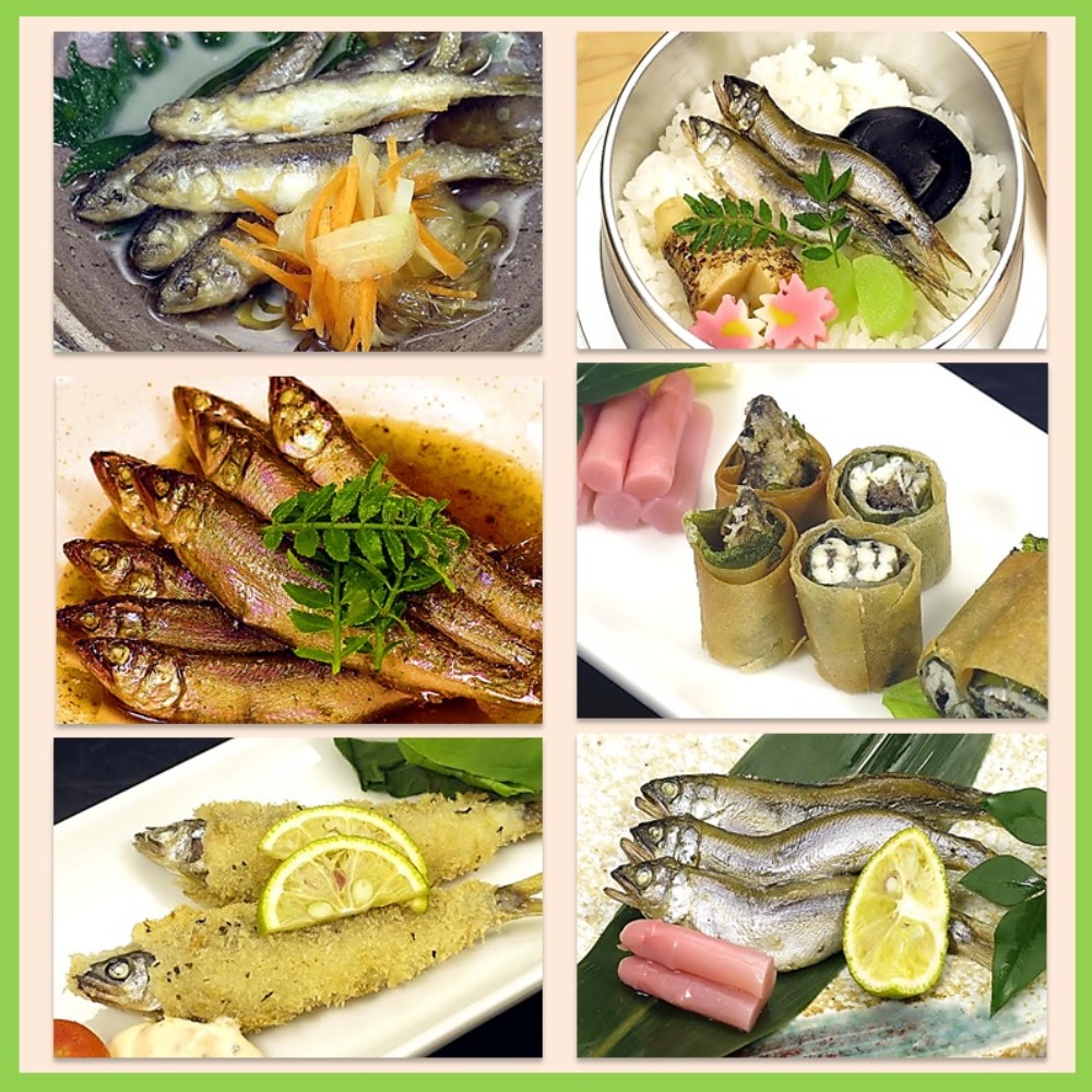 琵琶湖　天然若鮎　小鮎　稚鮎　大　10-11cm約48-53尾