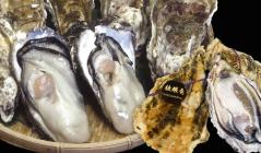 �X�܎ʐ^�E���S